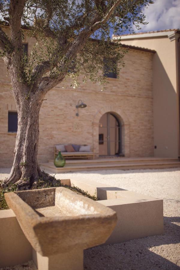 Casale Tre Gelsi Bed & Breakfast Cingoli Luaran gambar