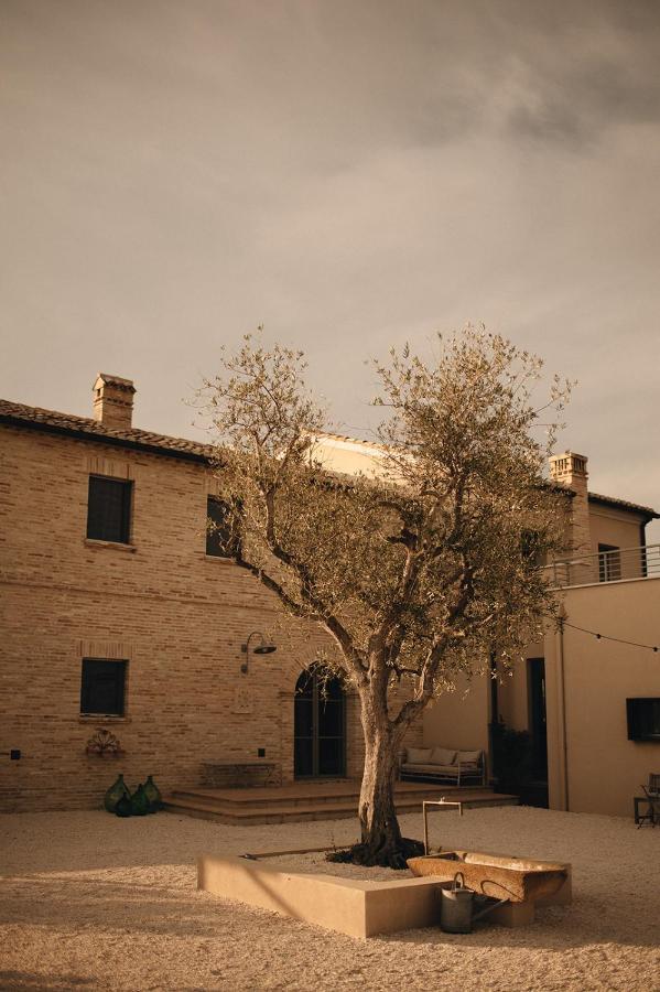 Casale Tre Gelsi Bed & Breakfast Cingoli Luaran gambar